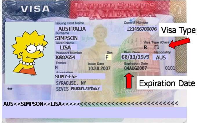 F1 VISA (example)